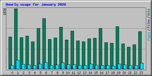 Hourly usage for January 2026