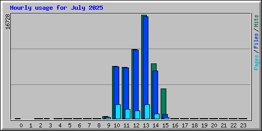 Hourly usage for July 2025