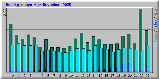 Hourly usage for November 2025