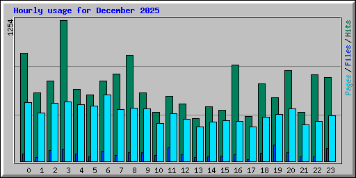 Hourly usage for December 2025