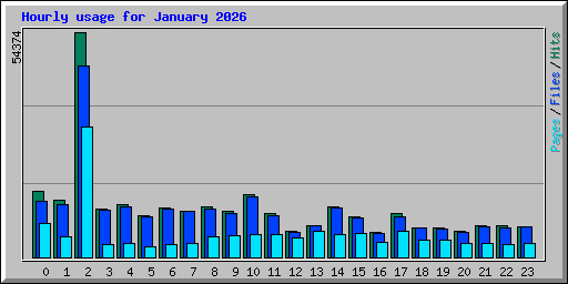 Hourly usage for January 2026