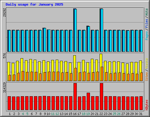 Daily usage for January 2025