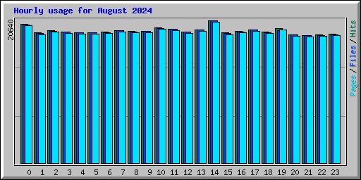 Hourly usage for August 2024