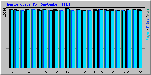 Hourly usage for September 2024