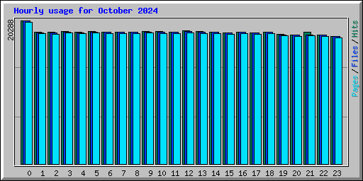 Hourly usage for October 2024