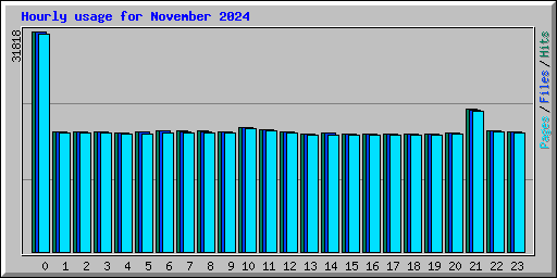 Hourly usage for November 2024