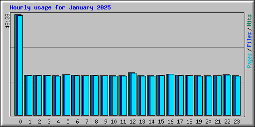 Hourly usage for January 2025