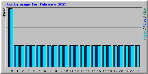Hourly usage for February 2025