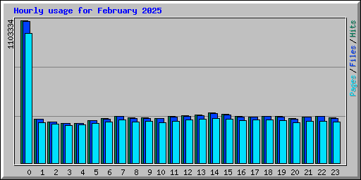 Hourly usage for February 2025