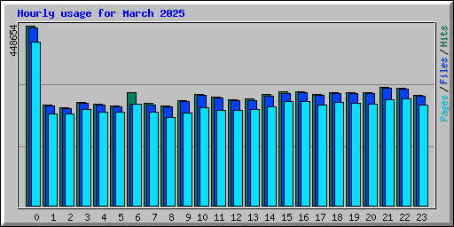 Hourly usage for March 2025