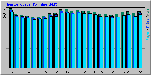 Hourly usage for May 2025