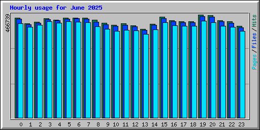 Hourly usage for June 2025