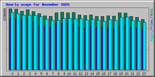 Hourly usage for November 2025