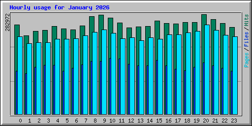 Hourly usage for January 2026
